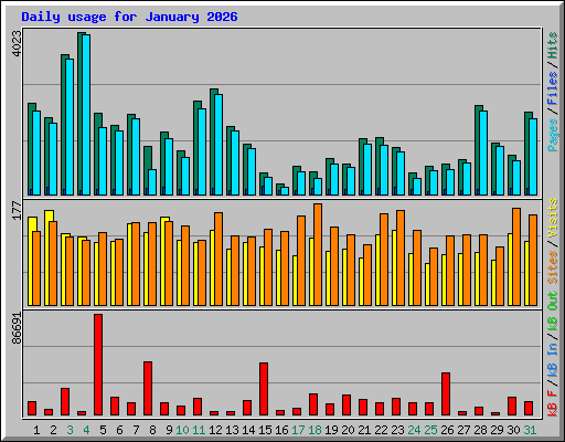 Daily usage for January 2026