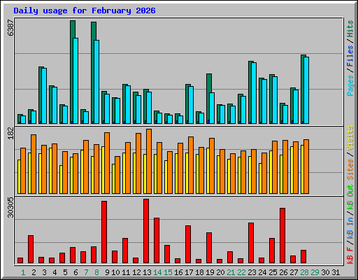 Daily usage for February 2026