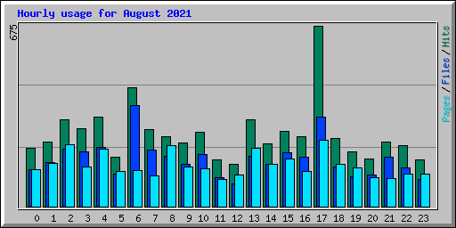 Hourly usage for August 2021