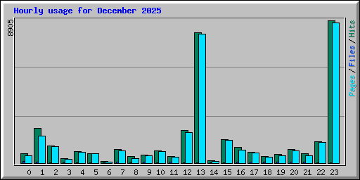 Hourly usage for December 2025