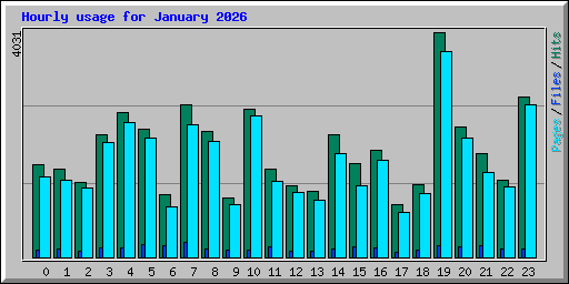 Hourly usage for January 2026